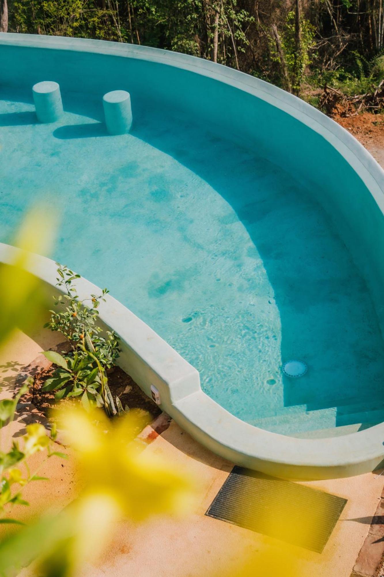 Casa Jasmin Bed & Breakfast Troncones Dış mekan fotoğraf