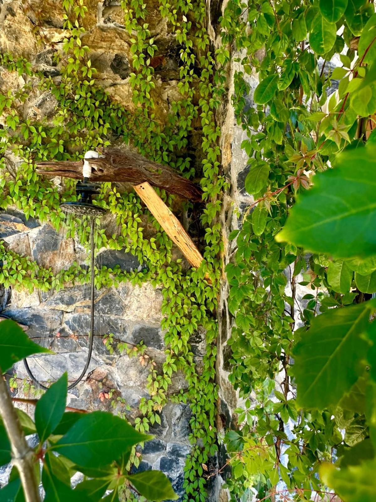 Casa Jasmin Bed & Breakfast Troncones Dış mekan fotoğraf